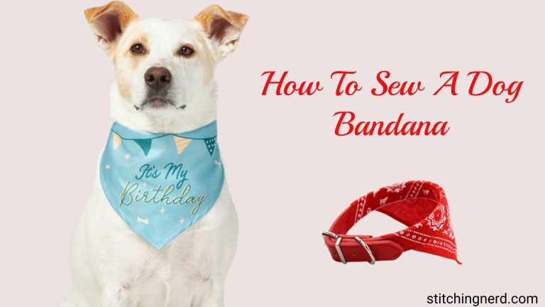 6 Easy Steps to Make a Dog Bandana Like A Pro!