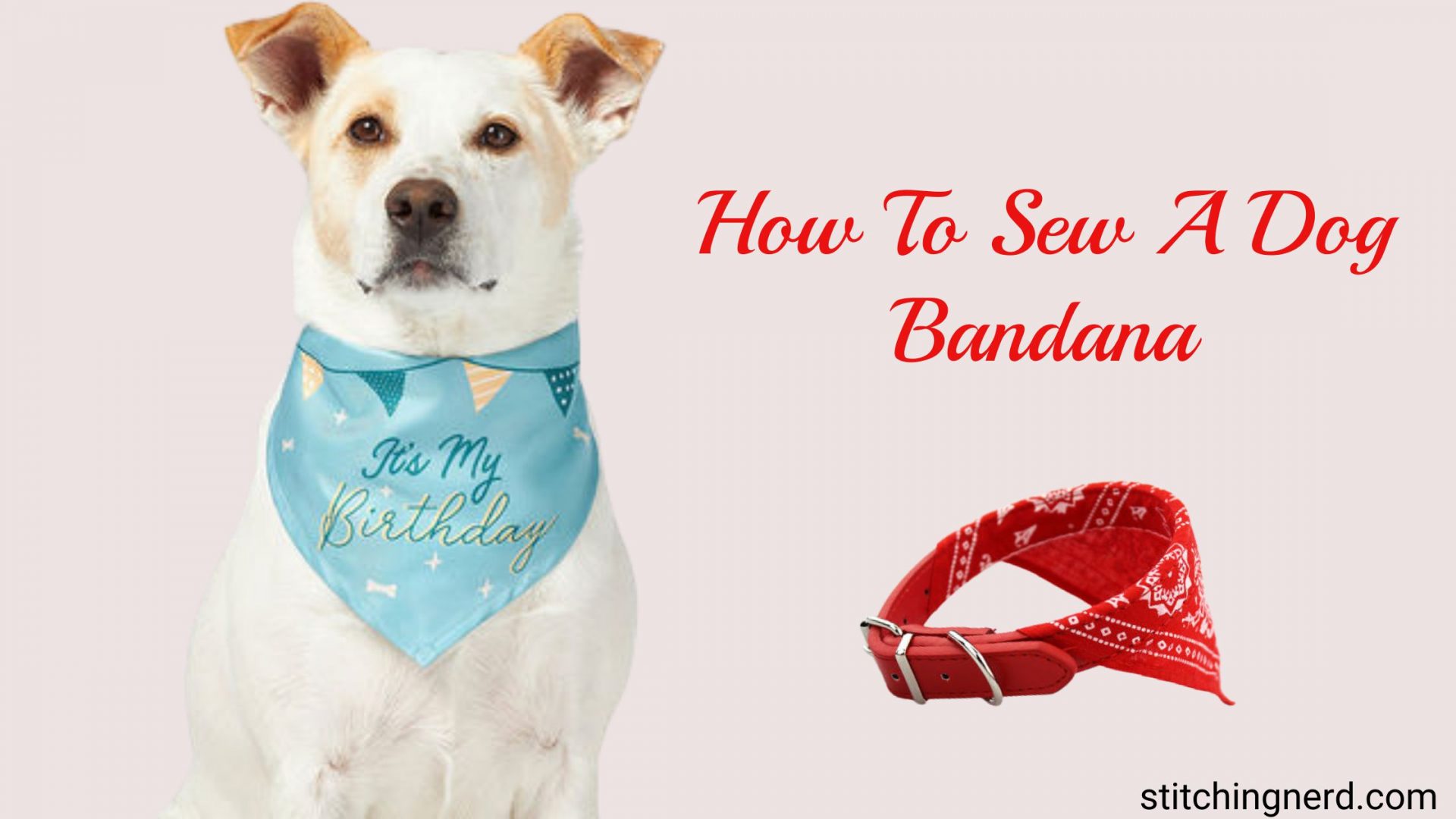 How To Sew a Dog Bandana